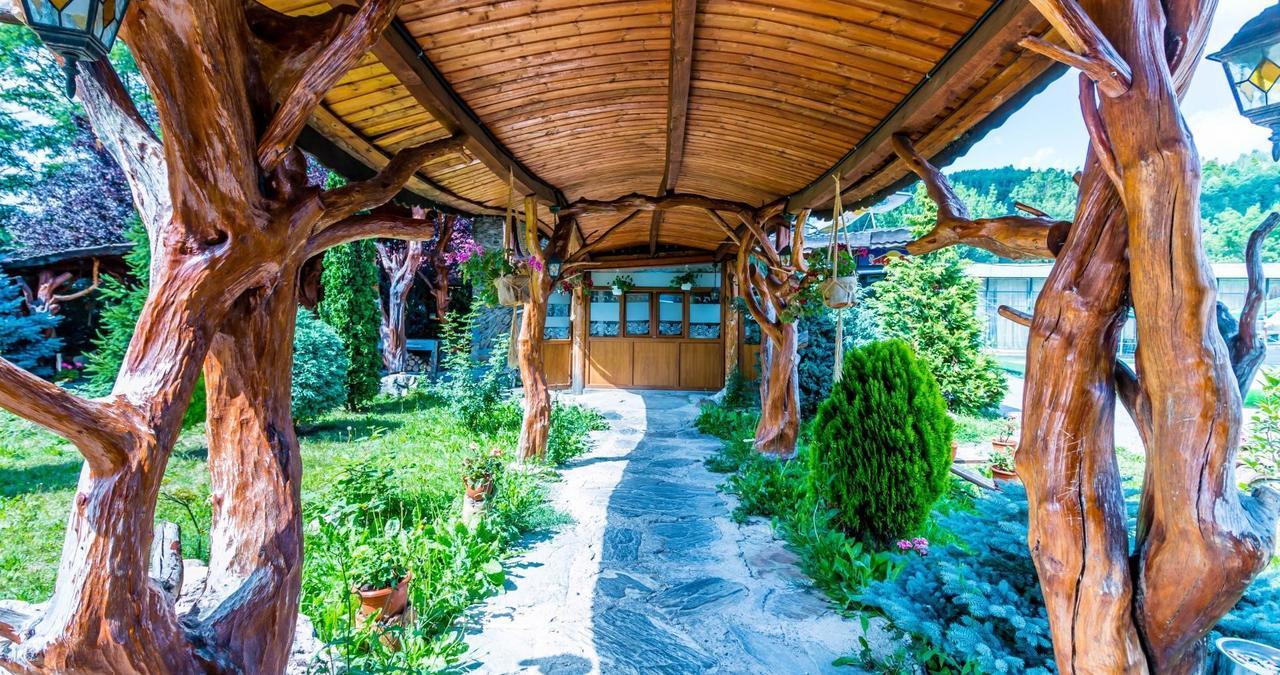 Hotel Castelul De Vis Petroşani Exterior foto